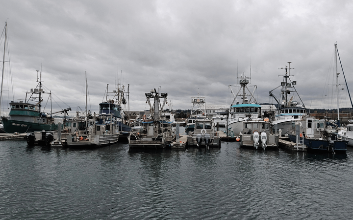 Gray and white boats equipped for fishing sit at a dock with gray skies above.