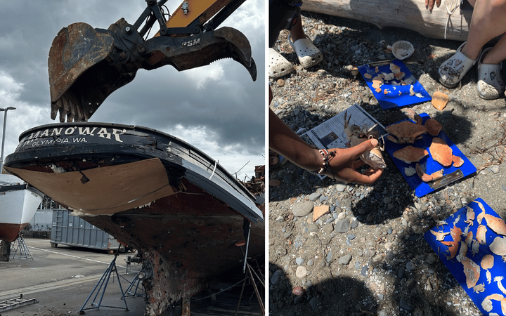 Two photos: on the left an old boat is about to be demolished. Right, crab shells lined up on the beach for a lesson